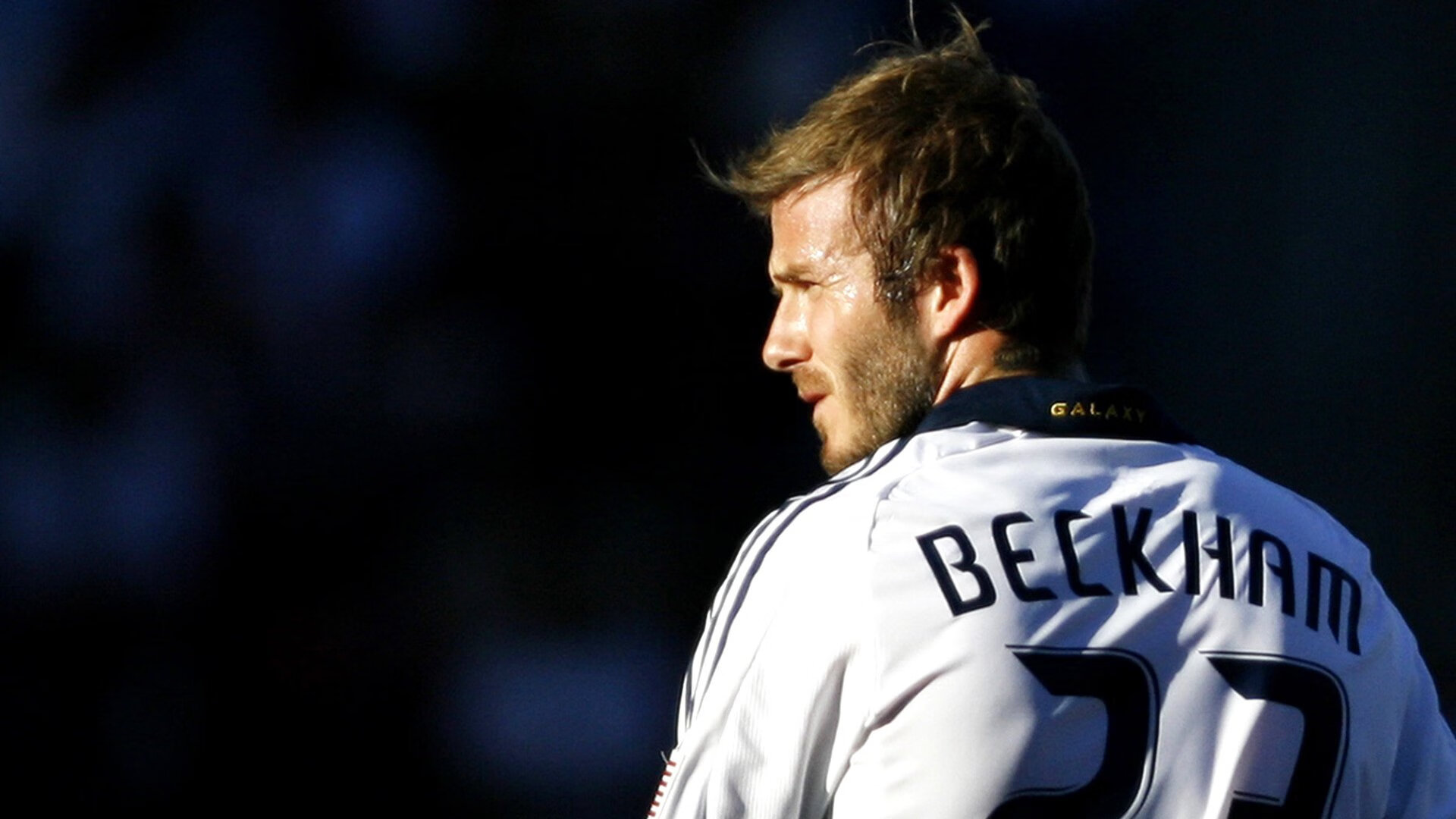 智慧健身系统应用效果调查，智慧健身中心看法