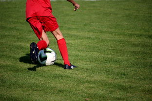 kaiyun.com-校园足球教练培训体系现状与改革思路，校园足球师资培训