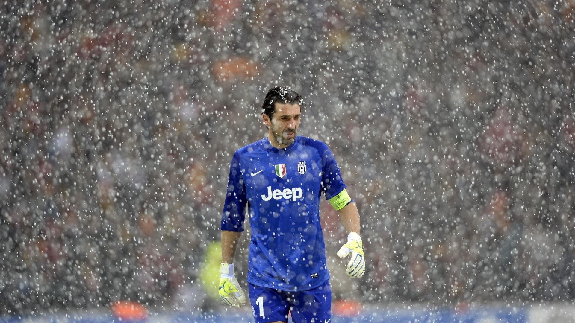 【职业生涯】明星球员的成长故事与未来展望，球星事迹